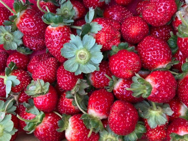 【搶先預購｜霸氣甜心！無毒黑鑽草莓(15-20入)ｘ2盒】獨特新品種！果肉紮實飽滿、香氣濃郁～