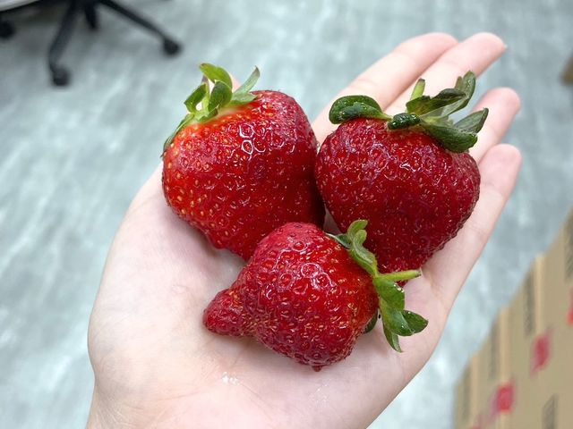 【搶先預購｜霸氣甜心！無毒黑鑽草莓(15-20入)ｘ2盒】獨特新品種！果肉紮實飽滿、香氣濃郁～
