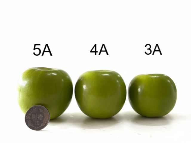 【爽脆預購！高雄六龜 珍蜜蜜棗 5斤禮盒】荖濃溪畔職人栽培 一吃就懂的脆甜等級