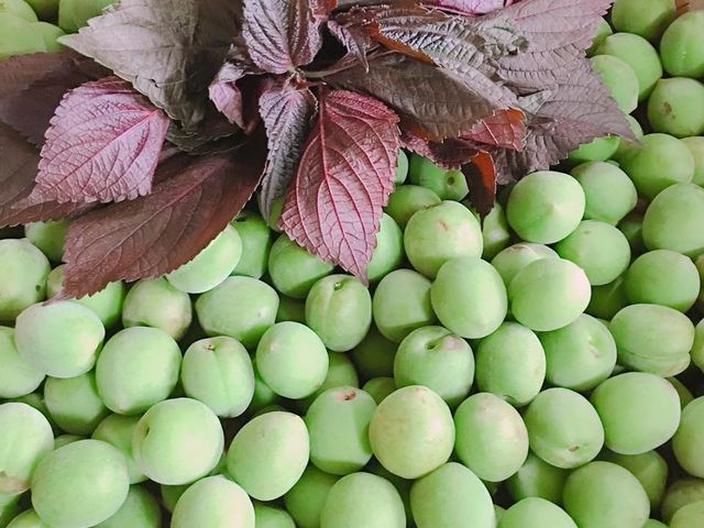 【阿金姐 香醇梅汁一瓶250g 】清香微酸的口感 客家的老味道