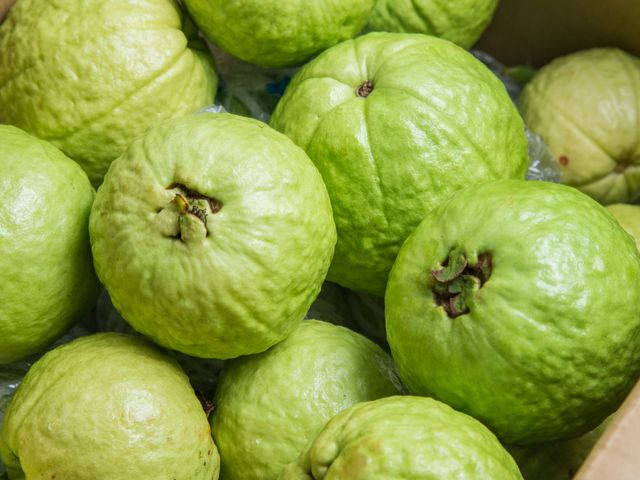 【初一芭結財富！高雄燕巢 外銷等級帝王芭樂 7斤裝】果肉厚實、脆甜口感，品嚐帝王芭樂的美好滋味