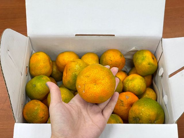 【初二橘祥如意！新竹新埔 黃金砂糖橘5斤裝】橘中極品｜甜到心坎裡的多汁小太陽