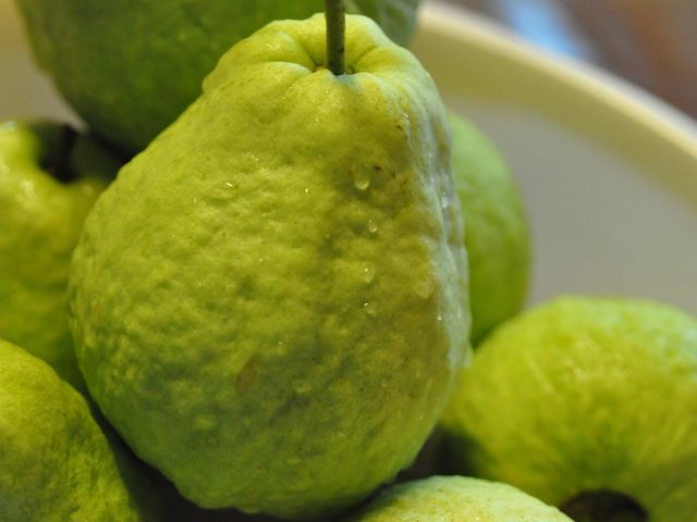 【專屬優惠！屏東特產 紅心芭樂 5斤裝】維他命C含量水果之冠，鮮甜多汁，養顏美容的水果之王