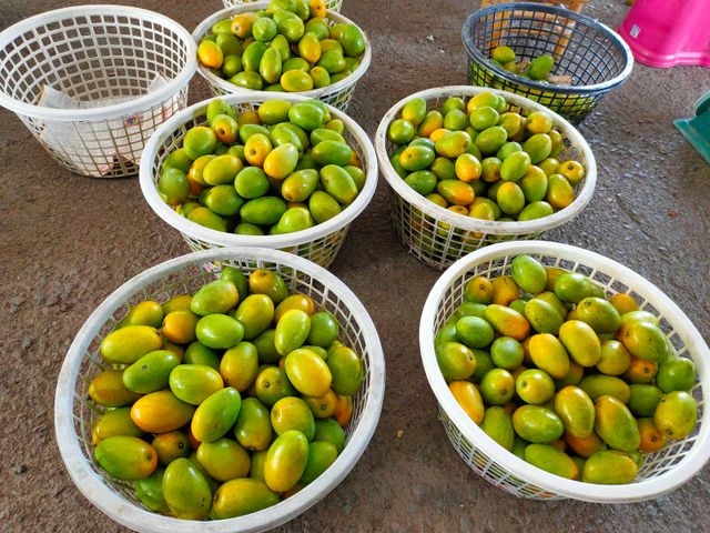 【初五開工芒起來！屏東三地門 毛家土芒果自用級5公斤(約35顆)】 濃香爆汁土檨仔，讓你旺運一整年！