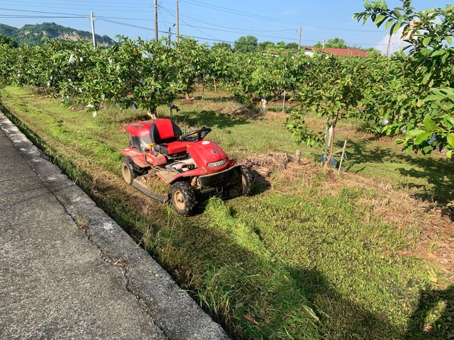 【20斤75折！台南玉井 脆甜珍珠芭樂10斤+10斤】顆顆套袋 爽脆又甘甜