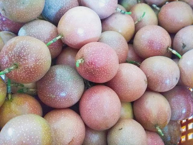 【預購！妞妞果園 滿天星百香果】荔枝香氣 × 高甜熟成 × 多汁爆香