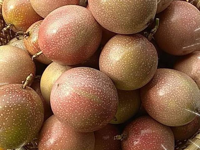 【預購！妞妞果園 滿天星百香果】荔枝香氣 × 高甜熟成 × 多汁爆香