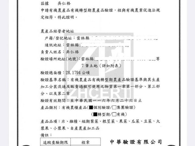 【免運！新鮮直送 雲林無毒西洋芹】富含多種維生素 吃得到自然新鮮與安心感！