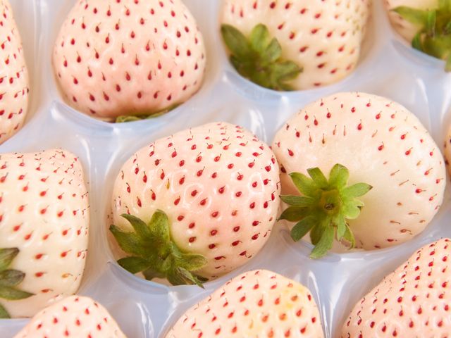 【搶先開賣｜夢幻系無毒白草莓(15-20入)ｘ2盒】草莓界的白寶石，一口就被香氣收服