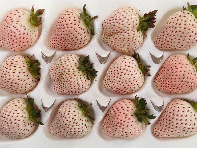 【搶先開賣｜夢幻系無毒白草莓(15-20入)ｘ2盒】草莓界的白寶石，一口就被香氣收服