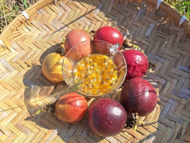 【產地直送！高雄燕巢 C多多的有機百香果】果肉飽滿 香氣炸裂 酸甜好滋味