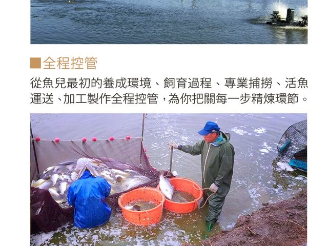 【鱸好家 | 鱸魚精(散裝10包無盒)+加送1包鱸魚精】精選鱸魚熬煮，濃縮精華入盒，天然鮮甜，隨時補充營養好湯底