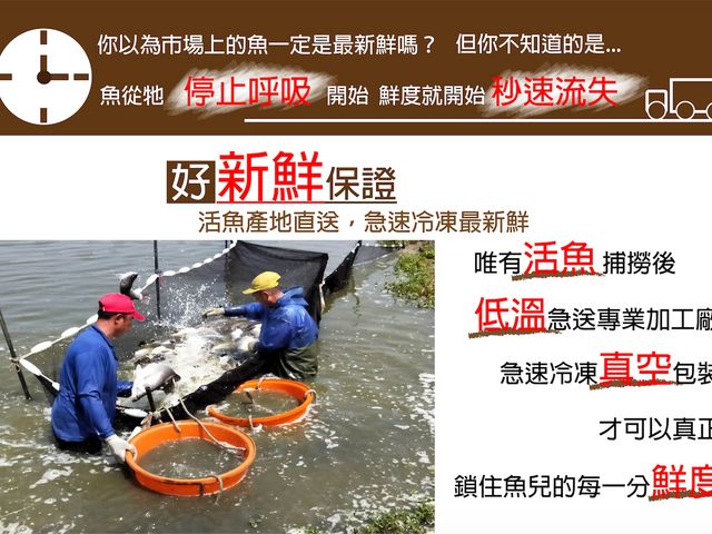 【鱸好家 | 小資好鱸組】清肉排與切塊一次擁有，鮮嫩香甜，家庭料理好選擇