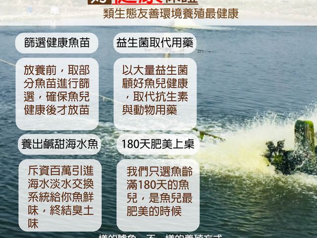 【鱸好家 | 小資好鱸組】清肉排與切塊一次擁有，鮮嫩香甜，家庭料理好選擇