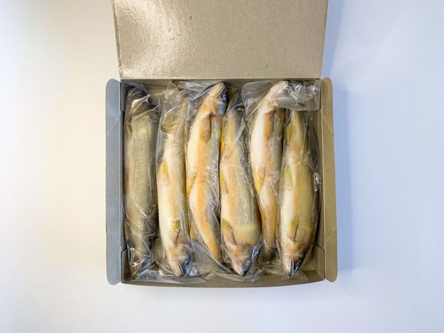 【富春水產 大尾極品公香魚冷凍盒裝(7~8尾)】宜蘭在地養殖香魚｜日本料理等級嚴選