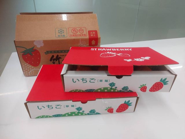 【嚴選！ 新竹關西 有機草莓】打造成草莓界的「敬遠」