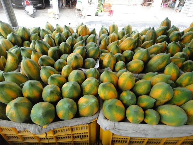 【大武山下的區塊鏈木瓜】果肉紅嫩甜度高 網室栽培的台農2號