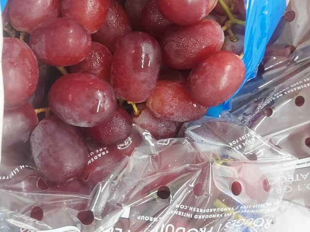 【滿單即關！南美葡萄盛宴組合箱】跨越 17,000 公里的甜蜜 一次解鎖三款味蕾