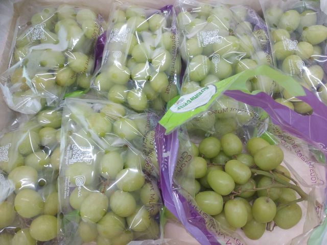 【滿單即關！南美葡萄盛宴組合箱】跨越 17,000 公里的甜蜜 一次解鎖三款味蕾