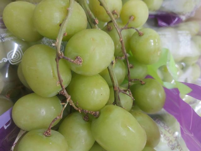 【滿單即關！南美葡萄盛宴組合箱】跨越 17,000 公里的甜蜜 一次解鎖三款味蕾