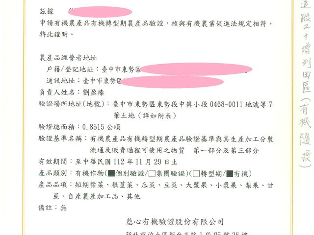 【東勢 嫩甜有機枇杷】熟成採收 顆顆皮薄肉Q嫩