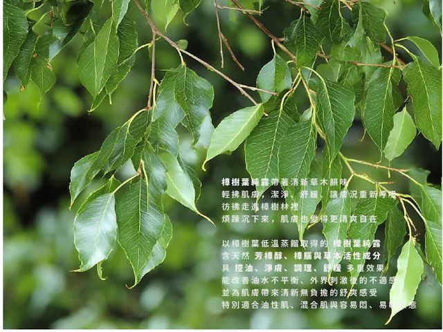 【橙十 勇敢愛玫瑰複方保濕純露 化妝水100ml】高效保濕 × 細緻滋潤，讓肌膚回到柔嫩水潤狀態