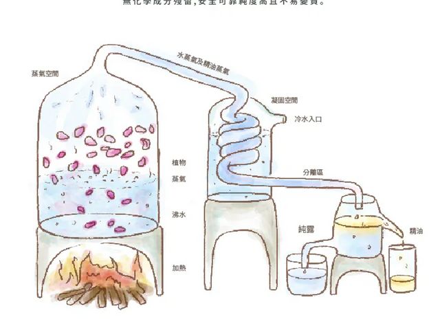 【橙十 勇敢愛玫瑰複方保濕純露 化妝水100ml】高效保濕 × 細緻滋潤，讓肌膚回到柔嫩水潤狀態