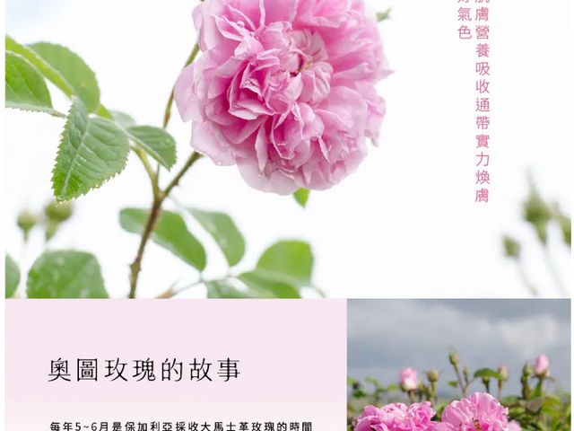 【橙十 天絲女人香 ．身體乳霜 200ml】輕盈好吸收，滋潤不黏膩，讓肌膚柔嫩細緻一整天