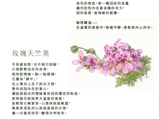 【橙十 蝴蝶夫人 空間・植香噴霧 100ml】清爽香氛，瞬間提升空間氣質，打造優雅感受