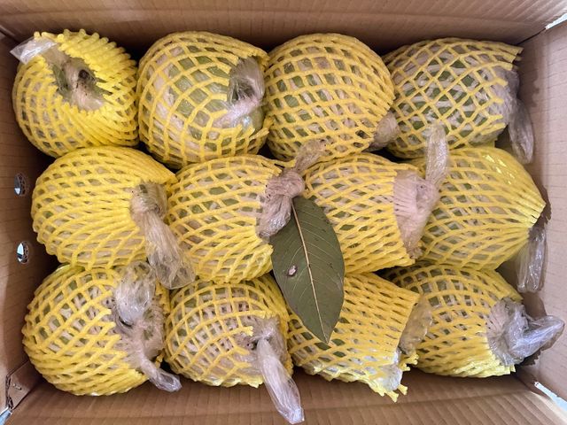 【高雄燕巢 卡滋脆甜帝王芭樂10斤裝】果肉厚實、清脆多汁，每一口都是自然甘甜