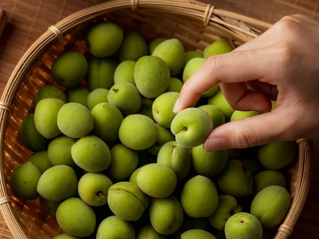 【預購！高雄甲仙 阿岳哥的手採無毒青梅】梅子籽小肉厚又硬酸度高 釀梅酒Q梅都適合