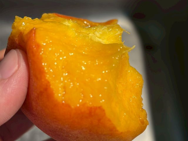 【新品上架！東勢大雪山 紅金水蜜桃禮盒】濃郁芒果香Q彈紮實 黃肉水蜜桃之后