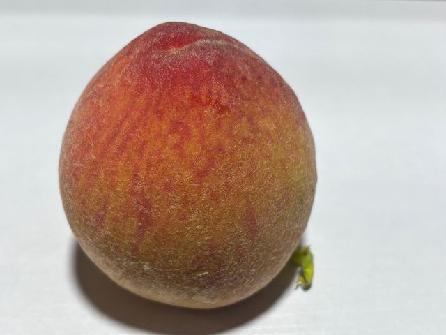 【新品上架！東勢大雪山 紅金水蜜桃禮盒】濃郁芒果香Q彈紮實 黃肉水蜜桃之后