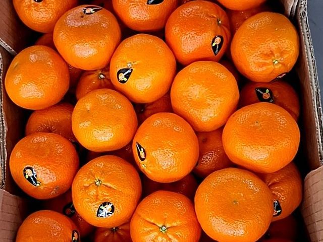 【清明祭祖水果箱(4~5樣隨機當季水果)】清明時節，用一箱好果，說一聲「我們記得你」