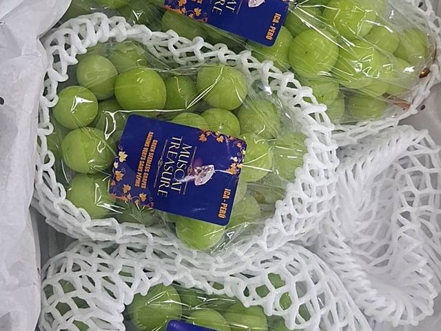 【清明祭祖水果箱(4~5樣隨機當季水果)】清明時節，用一箱好果，說一聲「我們記得你」