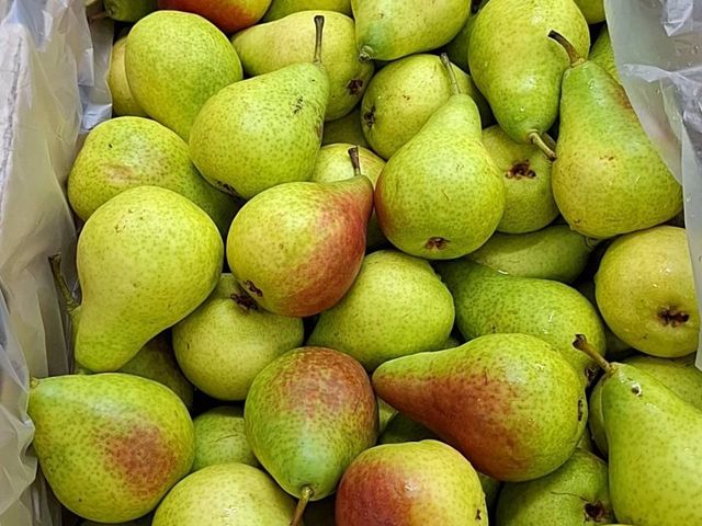 【清明祭祖水果箱(4~5樣隨機當季水果)】清明時節，用一箱好果，說一聲「我們記得你」