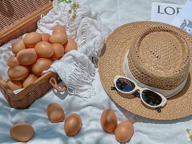 【新安農園 放養雞蛋 6入x3盒】自然放養 × 安心食材，每一顆都吃得到純粹