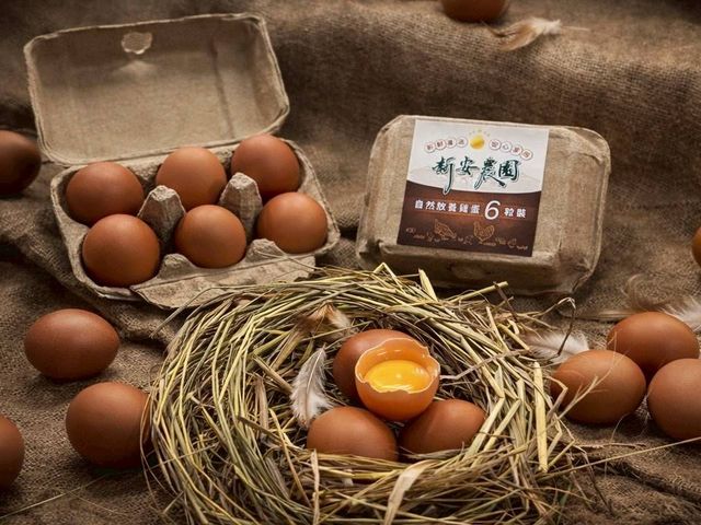 【新安農園 放養雞蛋 6入x3盒】自然放養 × 安心食材，每一顆都吃得到純粹