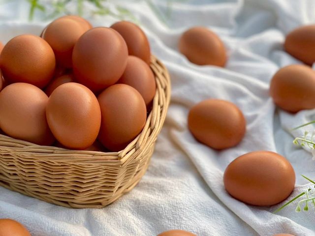 【新安農園 放養雞蛋 10入x9盒】自然放養 × 安心食材，每一顆都吃得到純粹