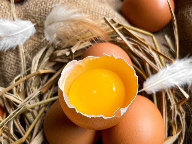 【新安農園 放養雞蛋 10入x9盒】自然放養 × 安心食材，每一顆都吃得到純粹