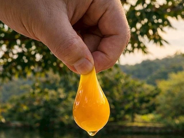 【新安農園 放養雞蛋 10入x9盒】自然放養 × 安心食材，每一顆都吃得到純粹