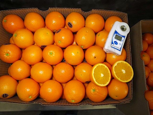 【頂級黑牌！貴族甜橙 美國加州Air sweet無籽臍橙原裝箱】Air sweet肚臍丁果肉多汁香氣撲鼻 甜度高螞蟻人最愛