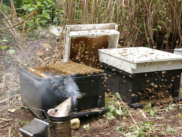 【蜂蜜大禮盒 甜心禮盒-九入】100%台灣蜂蜜，多款風味一次擁有，甜蜜滿滿、送禮體面又安心