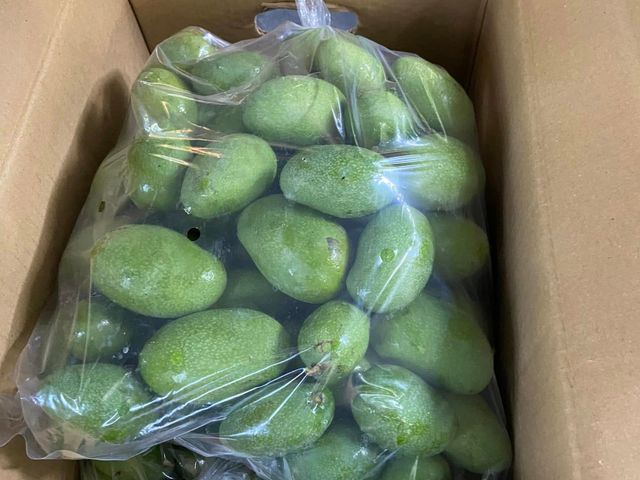 【台南楠西 未削皮土芒果青】清脆酸甜、自然果香，現採直送，保留最原始的土芒果風味