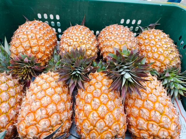 【超人氣的金鑽鳳梨一箱10kg裝】 來自高雄大樹 細心栽種的甜美鳳梨