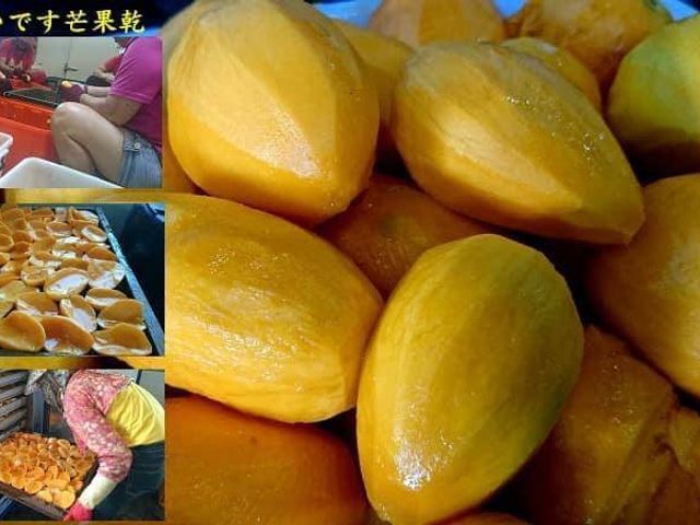 【越吃越上癮 屏東枋寮無添加果乾/包】多種口味任選，酸甜果香濃郁，一開袋就停不下來的涮嘴