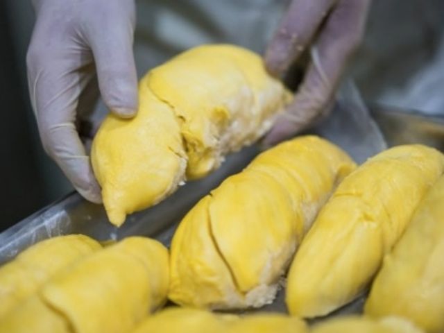 【77折！鮮凍泰國金枕頭榴槤300g/包Ｘ3包『帶籽、裸包裝』】少了外盒多了環保 價格更優惠