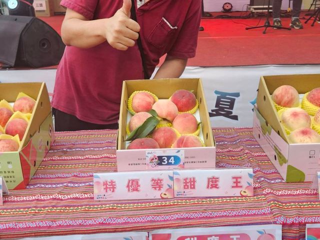 【預購！拉拉山水蜜桃！紅寶石水蜜桃 5月當季新鮮直送】上巴陵高海拔 1400m 桃園復興鄉產地直銷