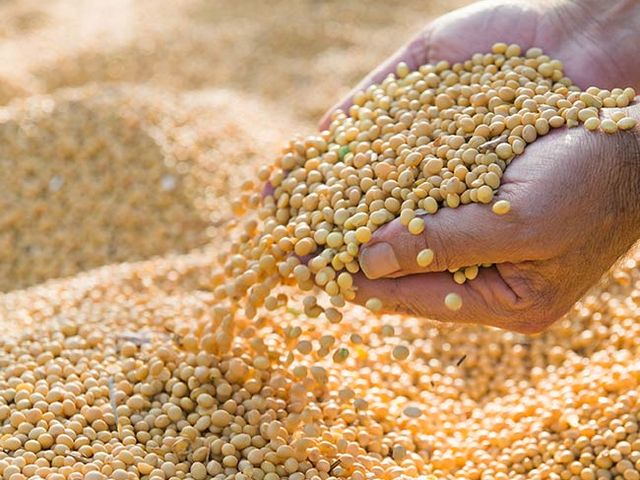 【母親節限定！十八養場 紅玉雞感恩回饋贈】 任選4包，贈送雞胸肉1包