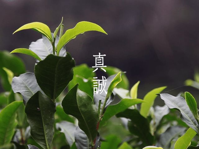 【母親節限定！十八養場 紅玉雞即食調理包感恩回饋贈】  任選4包，贈送雞胸肉1包